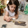 BESPORTBLE Cork Bark: 4Pcs Natural Bark Backdrop Reptile Cork Hideout