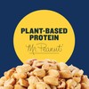 Planters Salted Peanuts (56 oz Canister)