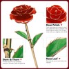 HyperFun Gold Dipped Rose 24k Red Golden Rose Forever Flower