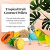 Tropical Fruit Gourmet Pellets Parakeet 1.8kg - Lafeber's