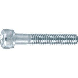 TRUSCO(トラスコ) 六角穴付ボルト三価 白 半ネジ サイズM6×55 8本入 B730-0655