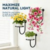 Wall Planters for Indoor Plants, 3 Pack Wall Mounted Plant