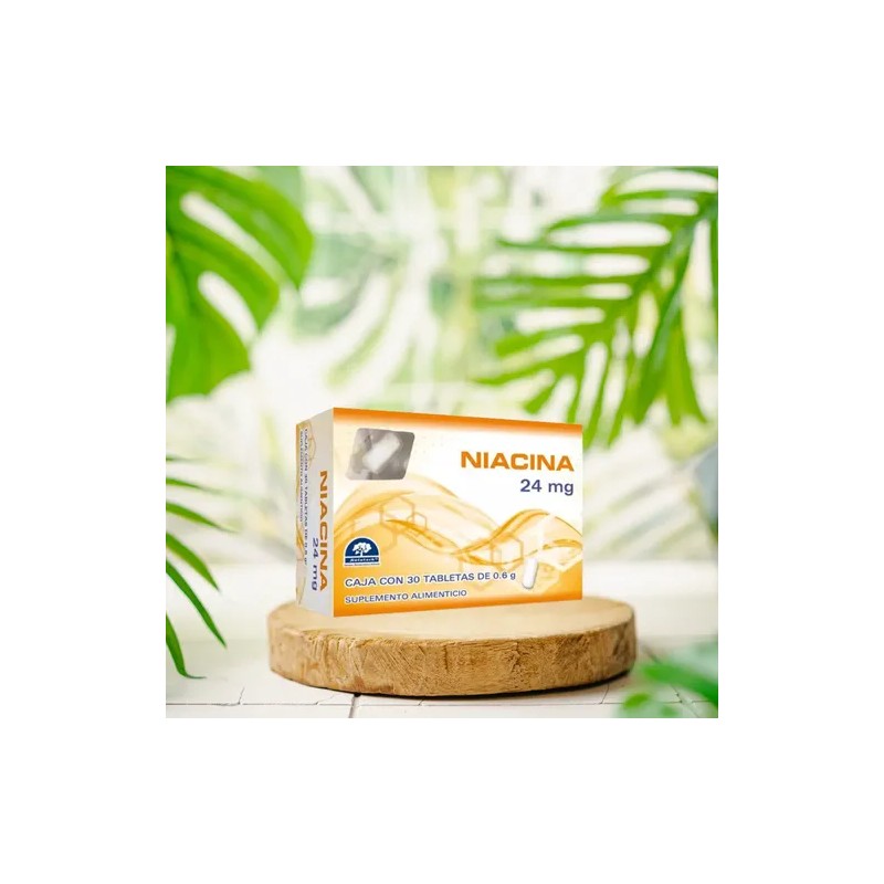 Suplemento En Tabletas Niacina X 240g