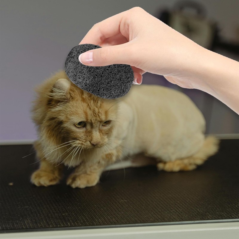 Bojueshaw 2PCS Pet Grooming Volcanic Stone – Shedding & Massage