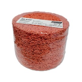 The Beast Bear-Tex Rapid-Strip Disc - 5/Pk