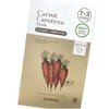 SKINFOOD Carrot Mask Pack Carrot Carotene 10 sheets / 스킨푸드
