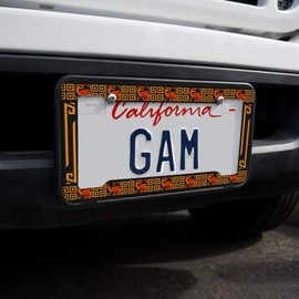 GRAPHICS & MORE Geometric Velociraptor Raptor Dinosaur Aztec Mayan Style License Plate Tag Frame