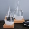 Enkrio Storm Glass Weather Predictor, Barometer Bottle with Wood Base