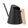 Watering Can with Long Spout 800ml Stainless Steel Matte Indoor