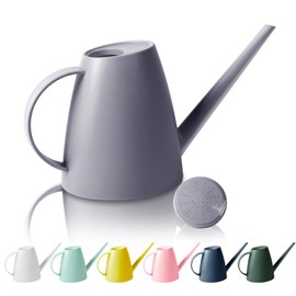 Etarewilt Watering Can for Indoor Outdoor Plants, Modern Small Watering Cans with Removable Nozzle, Long Spout Watering Can for Indoor Bonsai Plants Garden Flowers 1/2 Gallon 1.8L 60OZ (Gray)