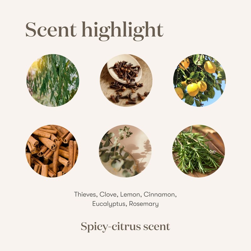 Young Living Thieves Household Cleaner | Plant-Based Multi Purpose Spray