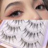 False Eyelashes, Natural, 5 Pairs, Popular, Transparent Shaft, Soft Core,