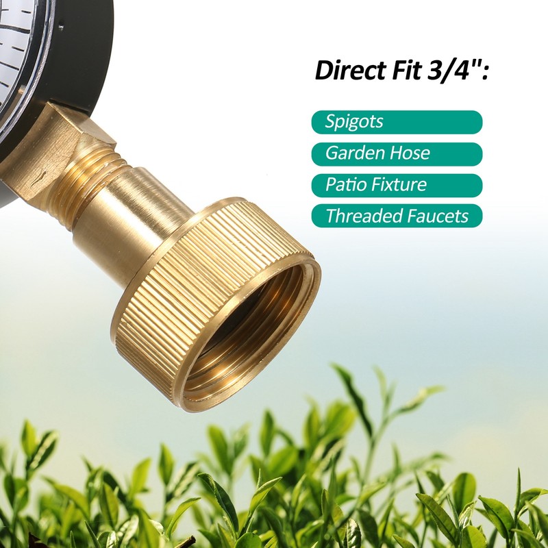 Lepmerk 2- 1/2'' Pressure Gauge Water Pressure Test Gauge 3/4''