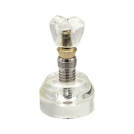 Modelo de demostración de implantes dentales, dientes transparentes para estudio enseñan M2020