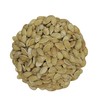 FirstChoiceCandy Double Roasted & Lightly Salted Jumbo Pumpkin Seeds -
