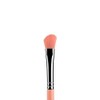 BDELLIUM TOOLS Pink Bambu 766 Angled Shadow