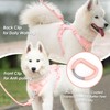 Sunraymascota No Pull Dog Harness, Puppy Vest with Front Clip