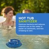 FROG @Ease Floating System for Hot Tubs - Quick &