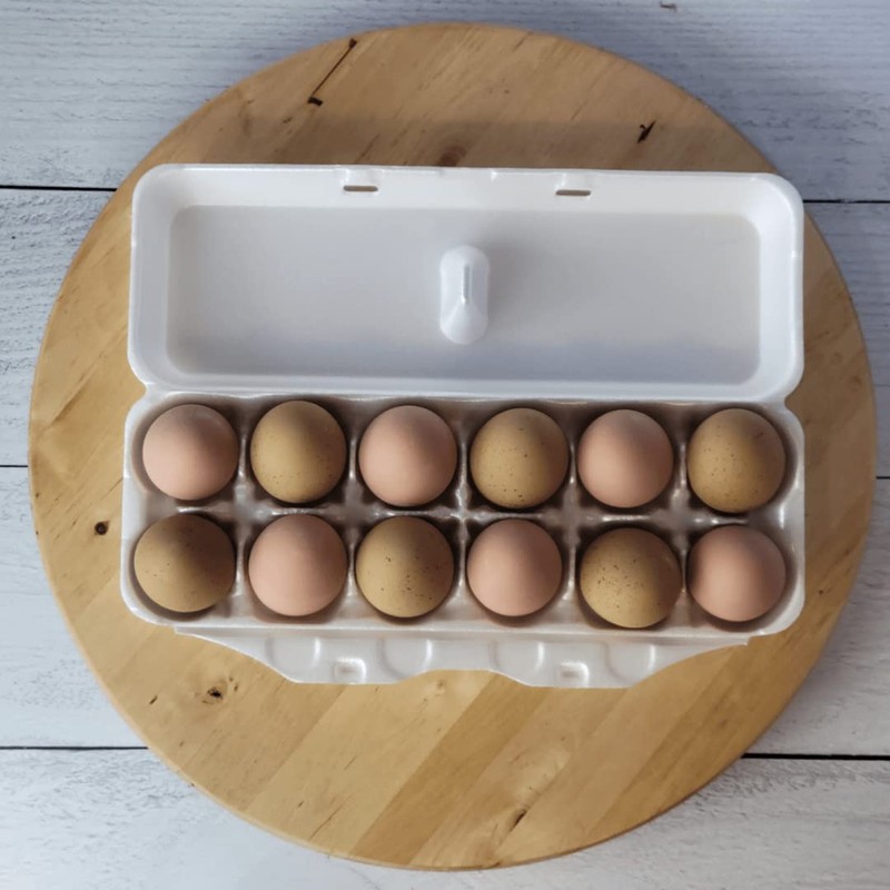 White 12-Egg Blank Styrofoam Carton - 50 Pack