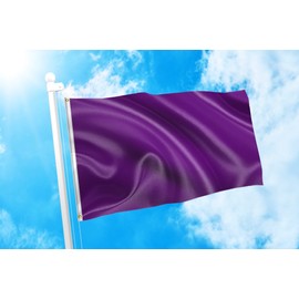 DMSE Purple Solid Blank Flag 3X5 Ft Foot Flag UV Resistant (3x5 Nylon, Purple)