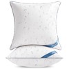 Atarashi 16 x 16 Outdoor Pillow Inserts(Set of 2) -