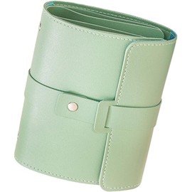 SASANI ENTERPRISE Travel Jewelry Organizer for Earrings Multi Functional Portable Earring Storage Holder for Studs and Hoops Ideal for Travel and Home Use Compact Design for Easy Carrying