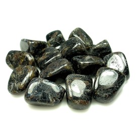 (1) ASTROPHYLLITE Tumbled Healing Crystal with Description Card - 1 & 1/16 inch to Over 1 & 1/4 inch Long, by 3/4 inch to 1 inch Wide. (Large)