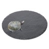 Tcrogsciss Round Slate Cheese Board 24 x 24 cm