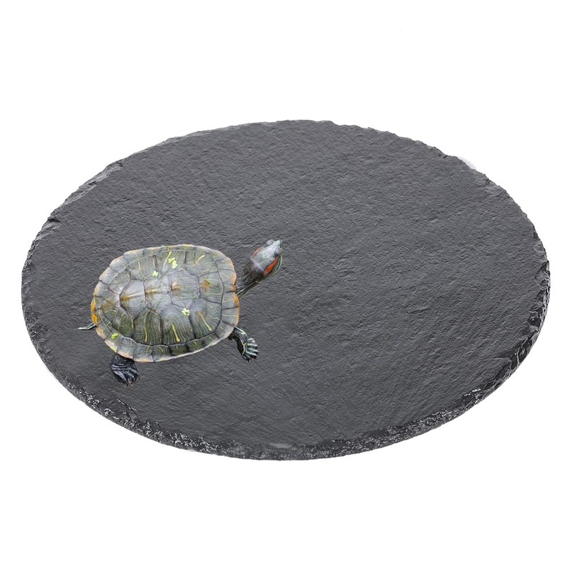 Tcrogsciss Round Slate Cheese Board 24 x 24 cm