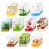 Ricocell Nature Coverage Mask Pack No. 1 Set, 100 Pieces, 1 Piece / 리코셀 네이처리커버리 마스크팩 1번 세트, 100개입, 1개