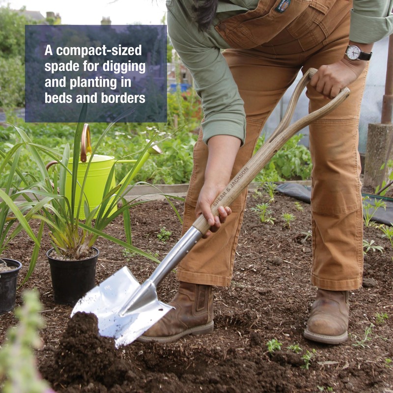 Spear & Jackson Traditional Stainless Steel Planting Spade, Heavy Duty
