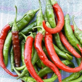 Long Slim Cayenne Hot Pepper Garden Seeds - 1 Oz - Non-GMO, Heirloom Vegetable Gardening Seeds