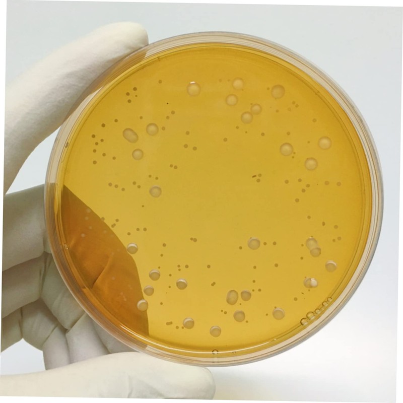 Agar Plates 10pcs Nutrient Agar Plate Toy Tools Glass Mushroom