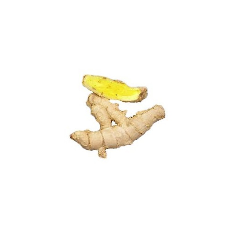 【ウコン複合体】 ウコンゴールド粉 容器入 150g×2P 沖縄県産ウコン100％ クルクミン豊富な秋ウコンに春ウコン・紫ウコンをブレンドしたサプリ
