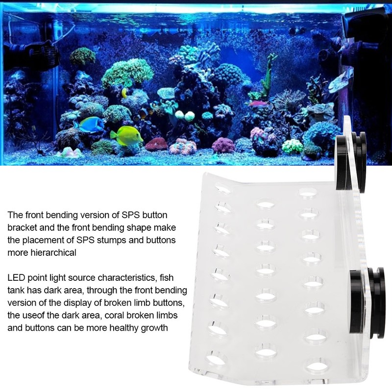 Aquarium Marine Coral Racks Bracket Holder Fish Tank Button Frame