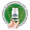 Alga Espirulina Orgánica 500 Mg Pack 3 Frascos Con 100