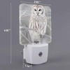 Chrobak LED Night Light,Curious Barred Owl Closeup LED Night Light