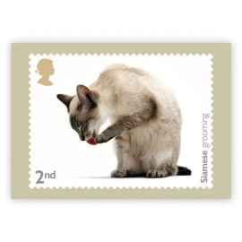 Royal Mail CATS, SIAMESE GROOMING, ORIGINAL ROYAL MAIL POSTCARD (1), YEAR 2022