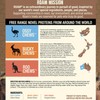 ROAM Pet Treats Ostrich, Venison & Kangaroo Chews for Dogs,