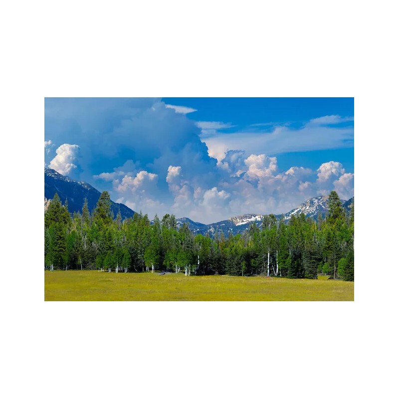 TrainJunkies Rocky Mountain Forest Model Railroad Backdrop - O Scale