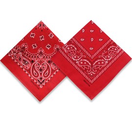 2 Pack Types of Paisley Pattern Bandanas, 22x22 Inches Cotton Bandanas Handkerchief Face Mask for Men & Women (Red-2 Pack)