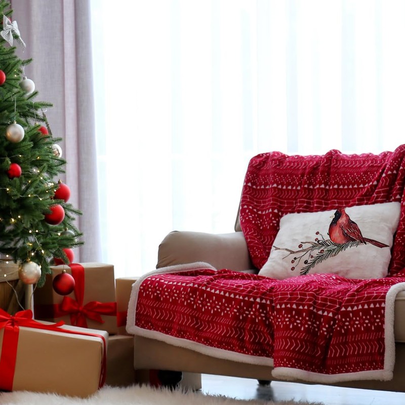 Ogiselestyle Christmas Cardinal Throw Pillow Covers, 12 x 20 Inch
