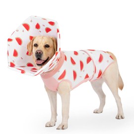 BurgeonNest Recovery Suit for Dogs + Cone Collar After Surgery, Dual Prevent Licking Dog Onesie Surgical Suit for Dogs Female Male Spay, Adjustable Soft Dog Cone Alternative Pet Cat Dog Body Suit, L