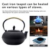 101oz/3000ml Extra Large and Heavy Cast Iron Teapot for 6