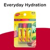 Carmex Daily Care Moisturizing Lip Balm Pack, Lip Balm With
