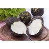 RAISE ME UP: Seeds Black Spanish Round Radish Non GMO