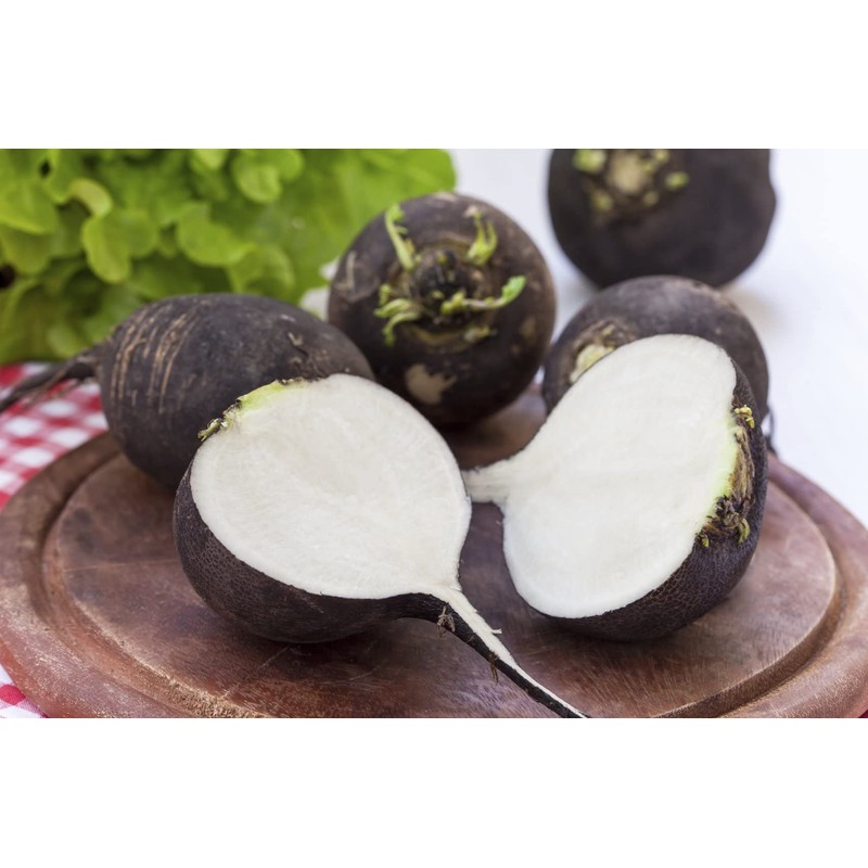 RAISE ME UP: Seeds Black Spanish Round Radish Non GMO