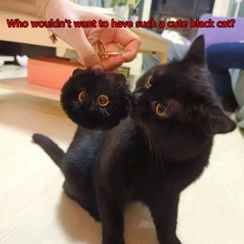Llaveros de peluche con pompones, diseño de gato negro, 2 unidades, para mujeres amantes de los gatos, color negro
