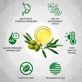 TeaDreamTea Olive Leaf Tea 100 Bags - Set Olive Tea - Herbal Tea Bags (100 count) - Caffeine Free - Loose Leaf Herbal Tea - Olive Leaf Tea For High Blood Pressure
