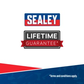 Sealey SBS008 M10 3/8" Sq Drive Spline Socket Bit
